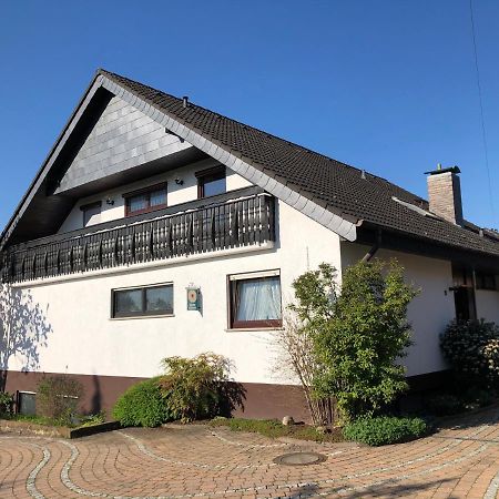 Апартаменты Nickel Haus Эденкобен Экстерьер фото
